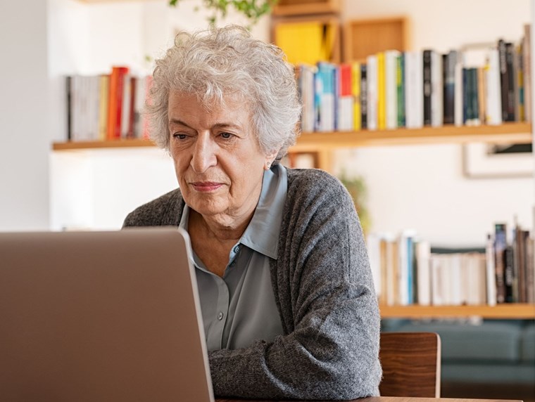 Image of a lady looking at a laptop screen
