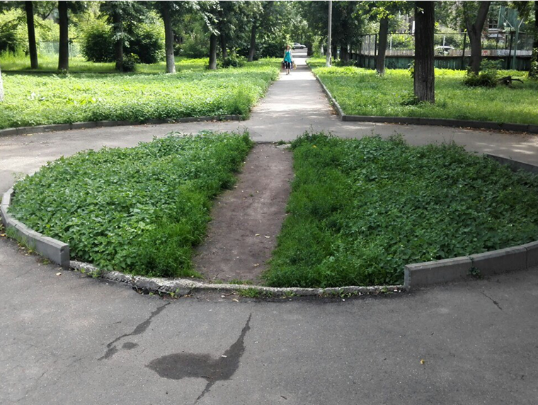 intention pathway.png